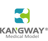 康為(wei)醫(yi)療