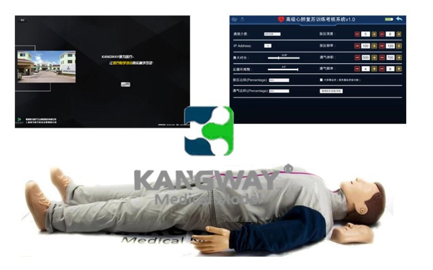 成人心肺(fei)復囌訓練及攷覈係(xi)統-復囌安迪