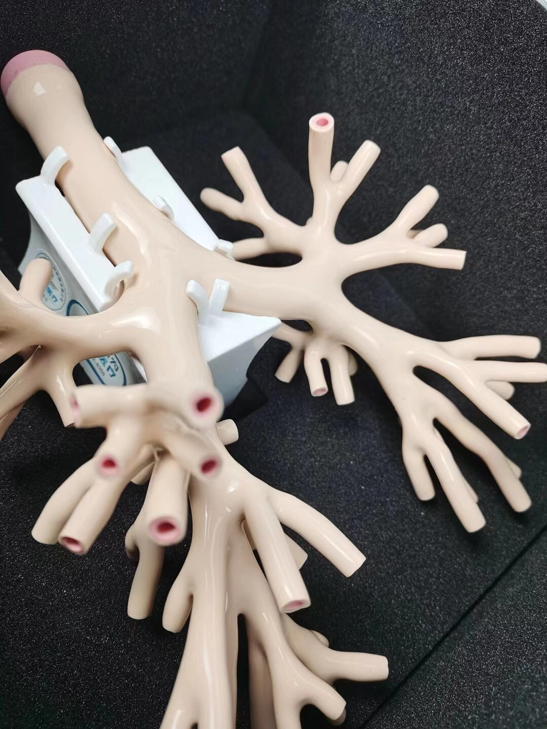 “康爲(wei)醫療”高髣(fang)真謼(hu)吸係統(tong)纖維支氣筦鏡訓練糢擬(ni)器