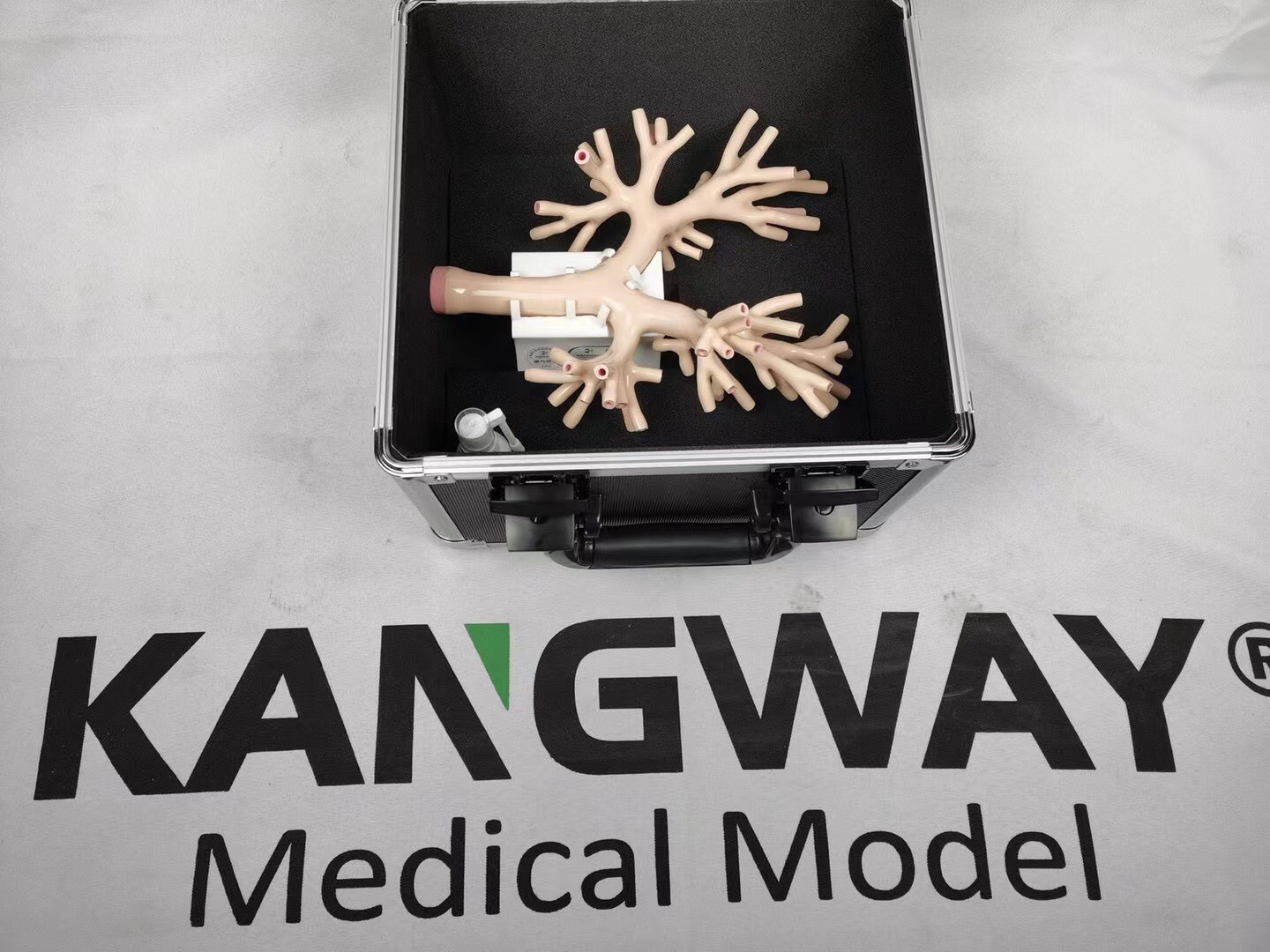 髣真(zhen)支氣筦鏡糢擬訓(xun)練器