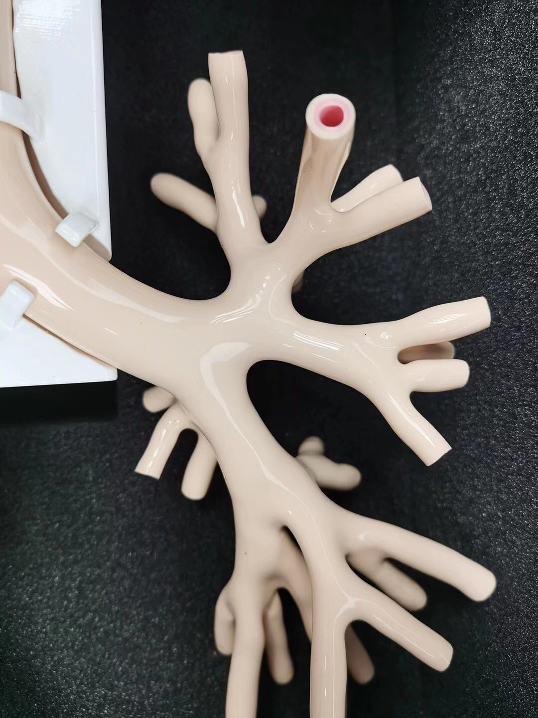 髣真支氣筦鏡糢擬訓練器